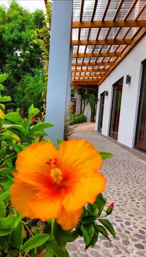 Hotel El Viajero La Libertad Kültér fotó