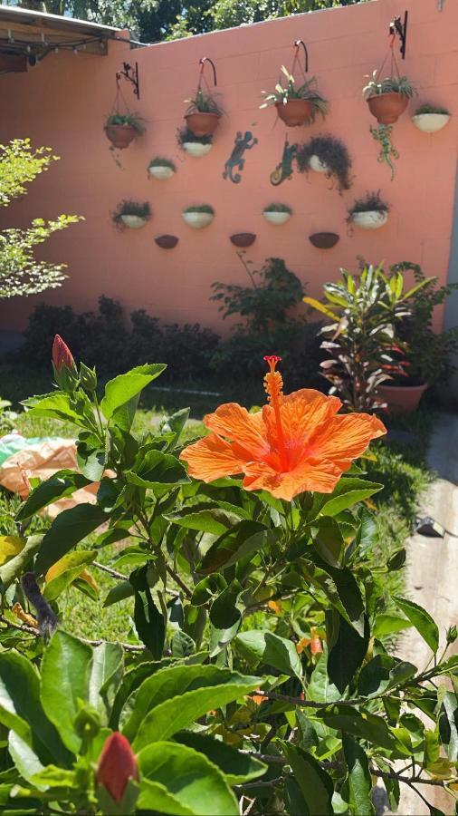 Hotel El Viajero La Libertad Kültér fotó